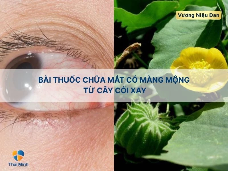 Bài thuốc trị mắt có màng mộng cây cối xay