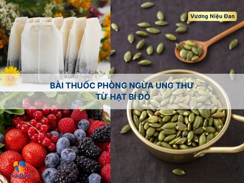 Phòng ngừa ung thư với bài thuốc hạt bí đỏ