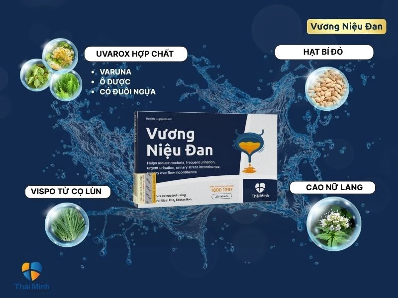 Vương niệu đan có chiết xuất hạt bí đỏ