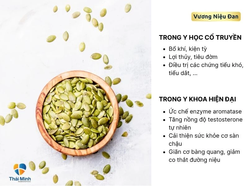 Hạt bí đỏ có nhiều công dụng với y học