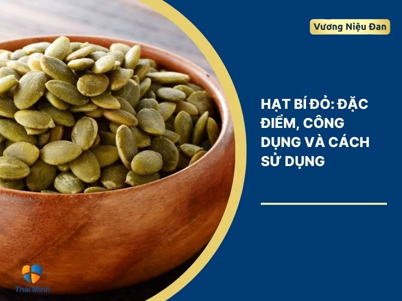 Hạt bí đỏ: Đặc điểm, công dụng và cách sử dụng