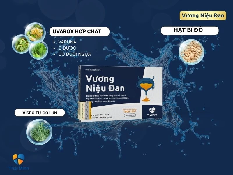 Vương Niệu Đan sản phẩm hỗ trợ trị tiểu đêm, tiểu rát