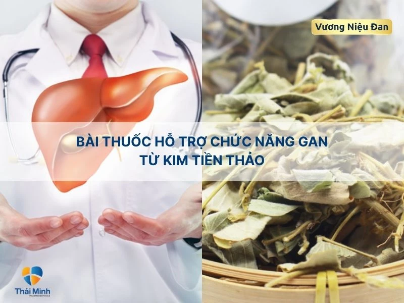 Hỗ trợ thải độc cho gan với kim tiền thảo