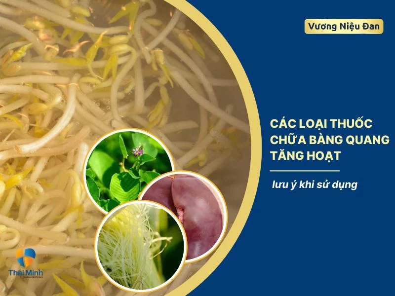Mẹo chữa đi tiểu nhiều lần trong ngày hiệu quả và an toàn