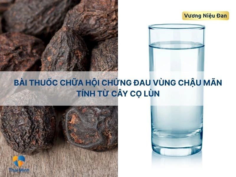 Chữa đau vùng chậu mãn tính với quả cọ lùn