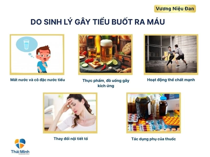Nguyên nhân sinh lý gây tiểu buốt