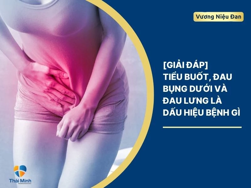 Tiểu buốt, đau bụng dưới và đau lưng là dấu hiệu bệnh gì?