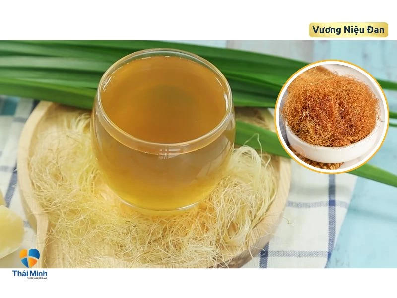 Bài thuốc râu ngô trị tiểu buốt