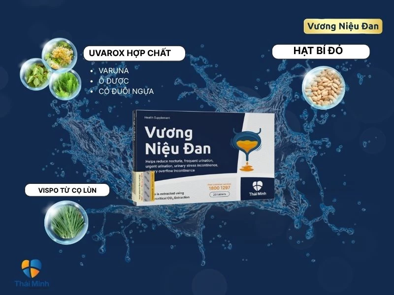 Vương Niệu Đan cải thiện bàng quang, giúp ngủ ngon