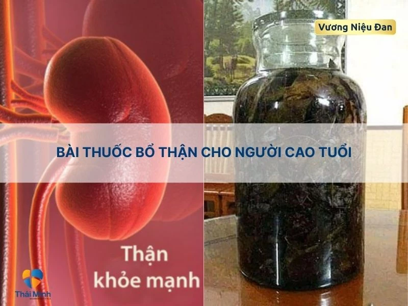 Bổ thận người cao tuổi dâm dương hoắc