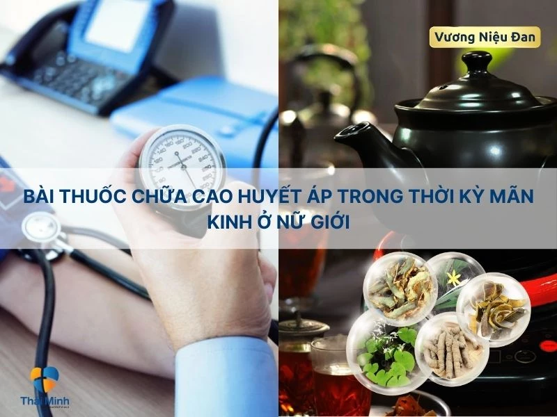 Chữa cao huyết áp nữ giới với dâm dương hoắc