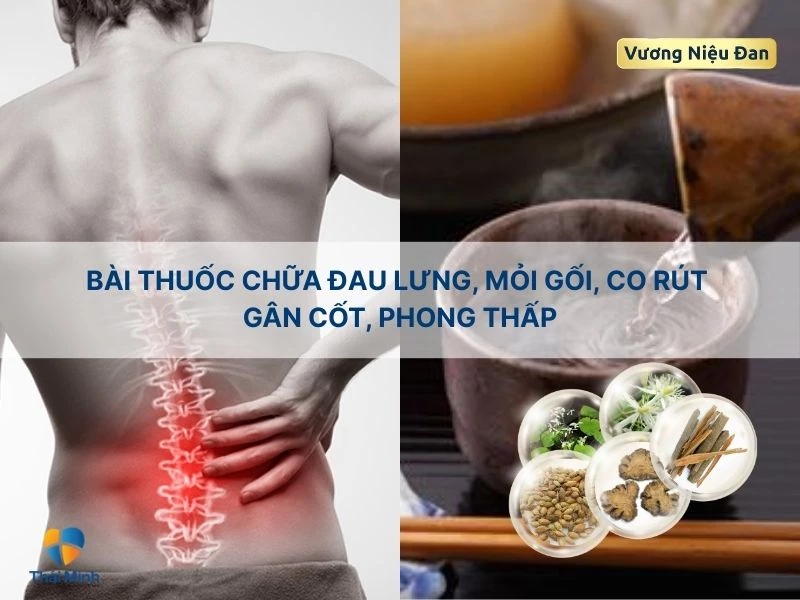 Trị đau lưng với dâm dương hoắc