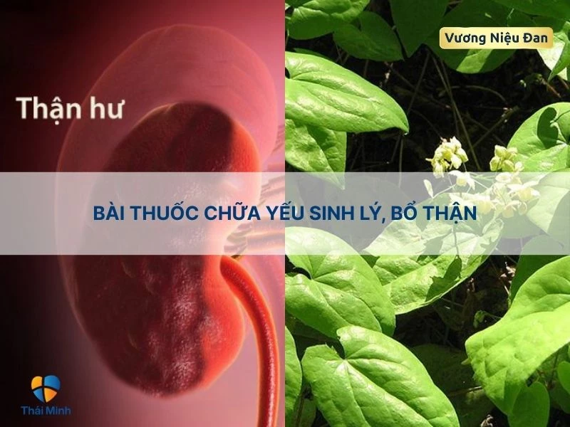 Trị yếu sinh lý với dâm dương hoắc