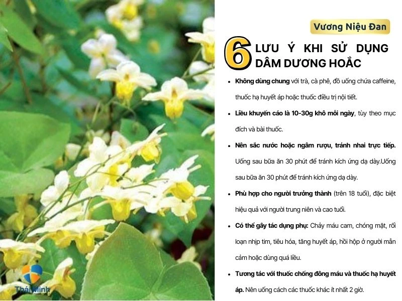Sử dụng dâm dương hoắc an toàn