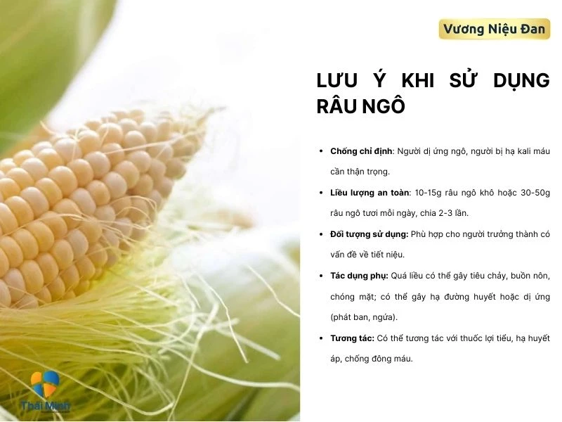 Sử dụng râu ngô an toàn