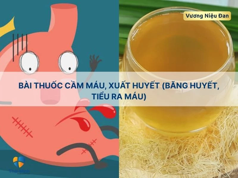 Cầm máu với râu ngô
