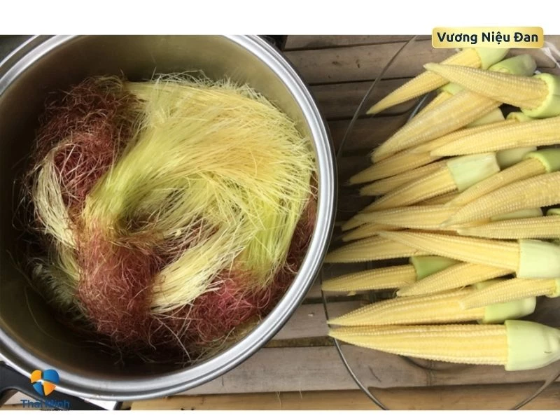 Đặc điểm của râu ngô