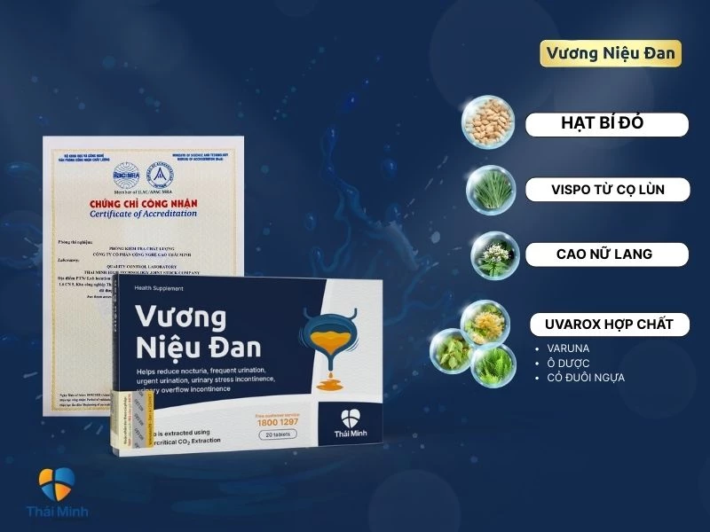 Sản phẩm hỗ trợ bàng quang Vương Niệu Đan